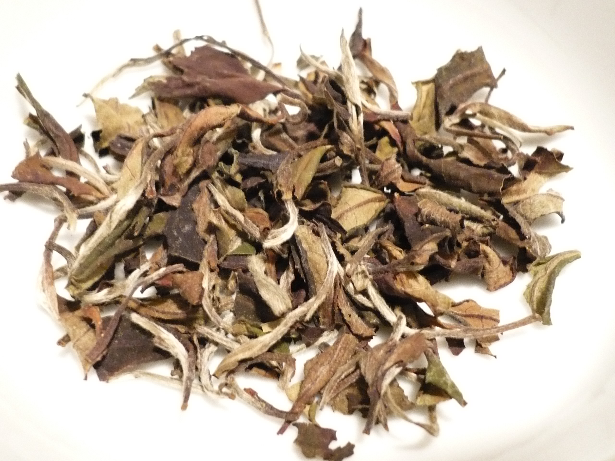 bai mudan white tea