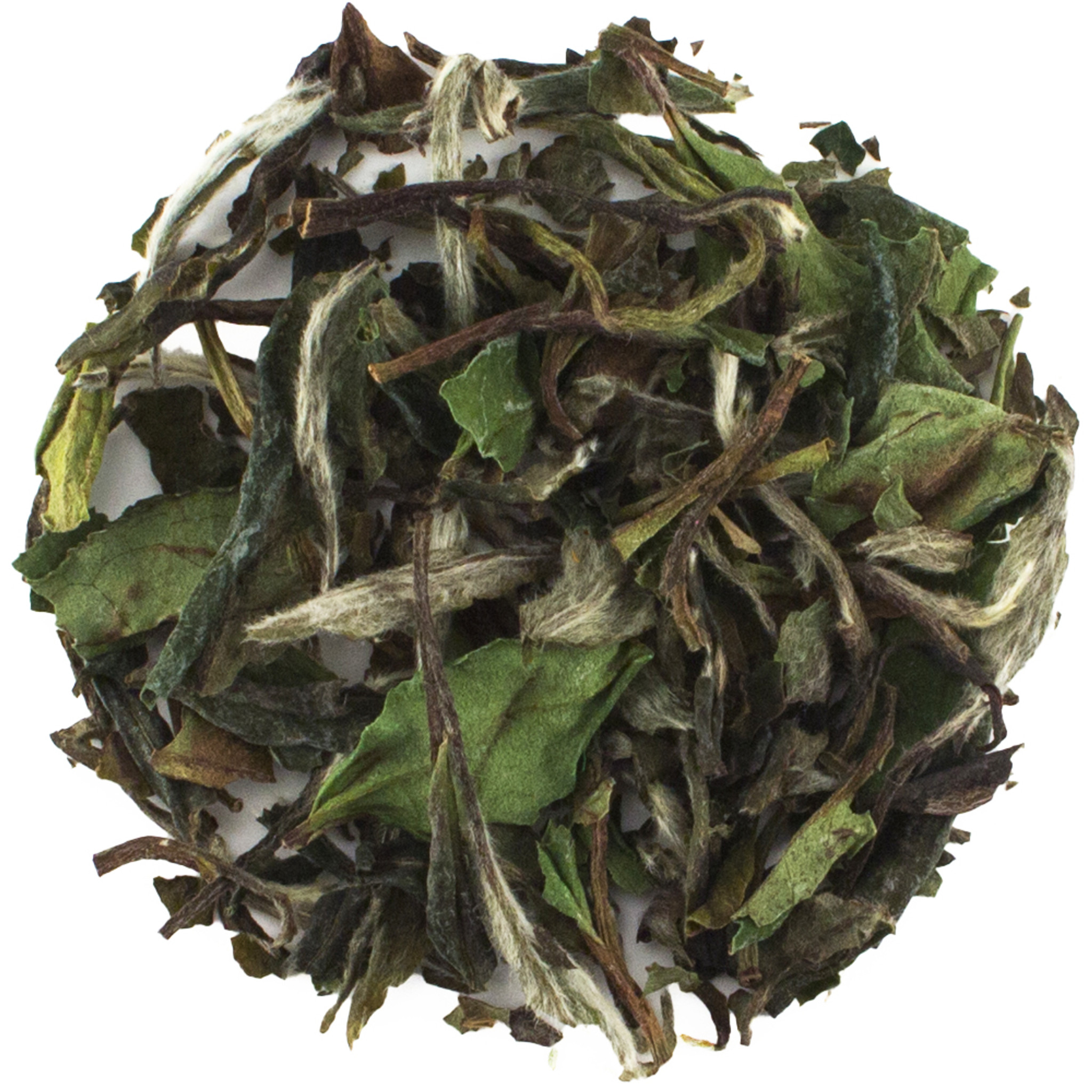 white peony tea