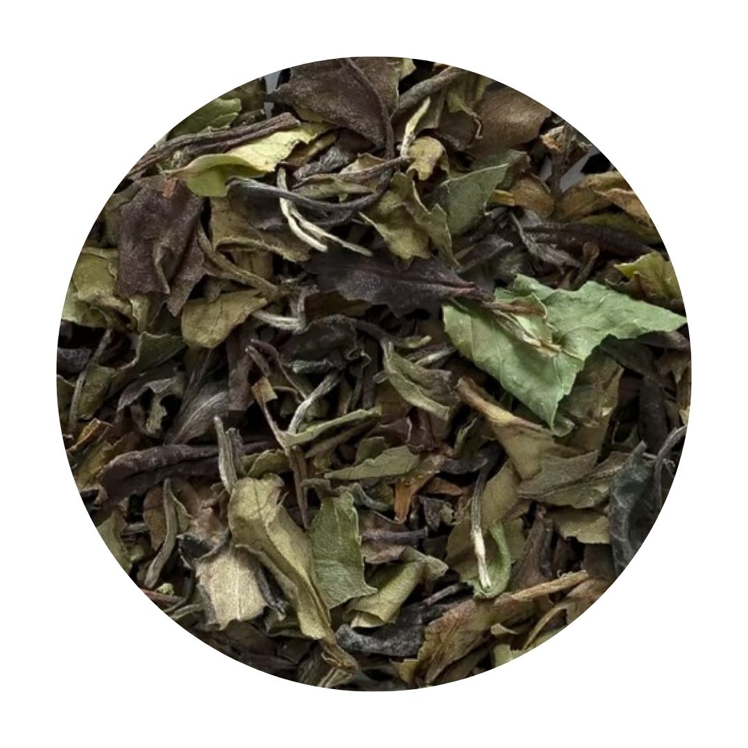 bai mudan white tea