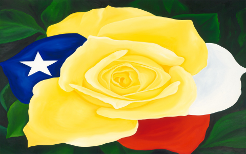 yellow tea rose