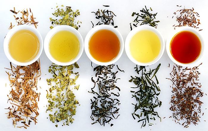黄茶属于什么茶？