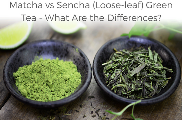 green tea sencha and matcha