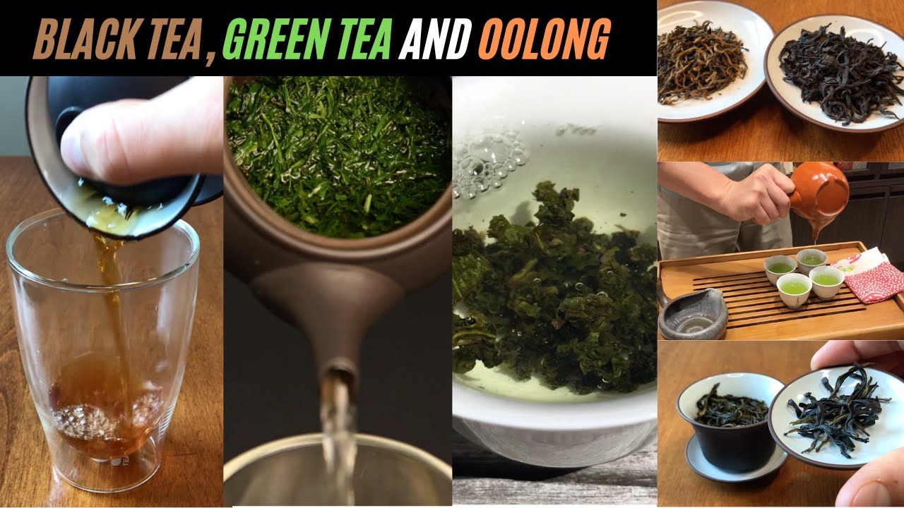 oolong vs green tea