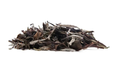 white peony tea