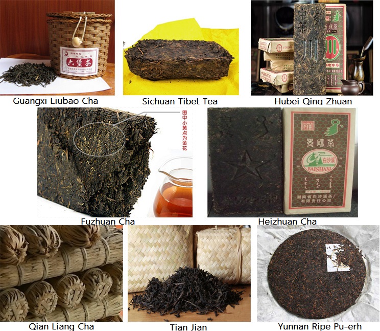 types of dark tea