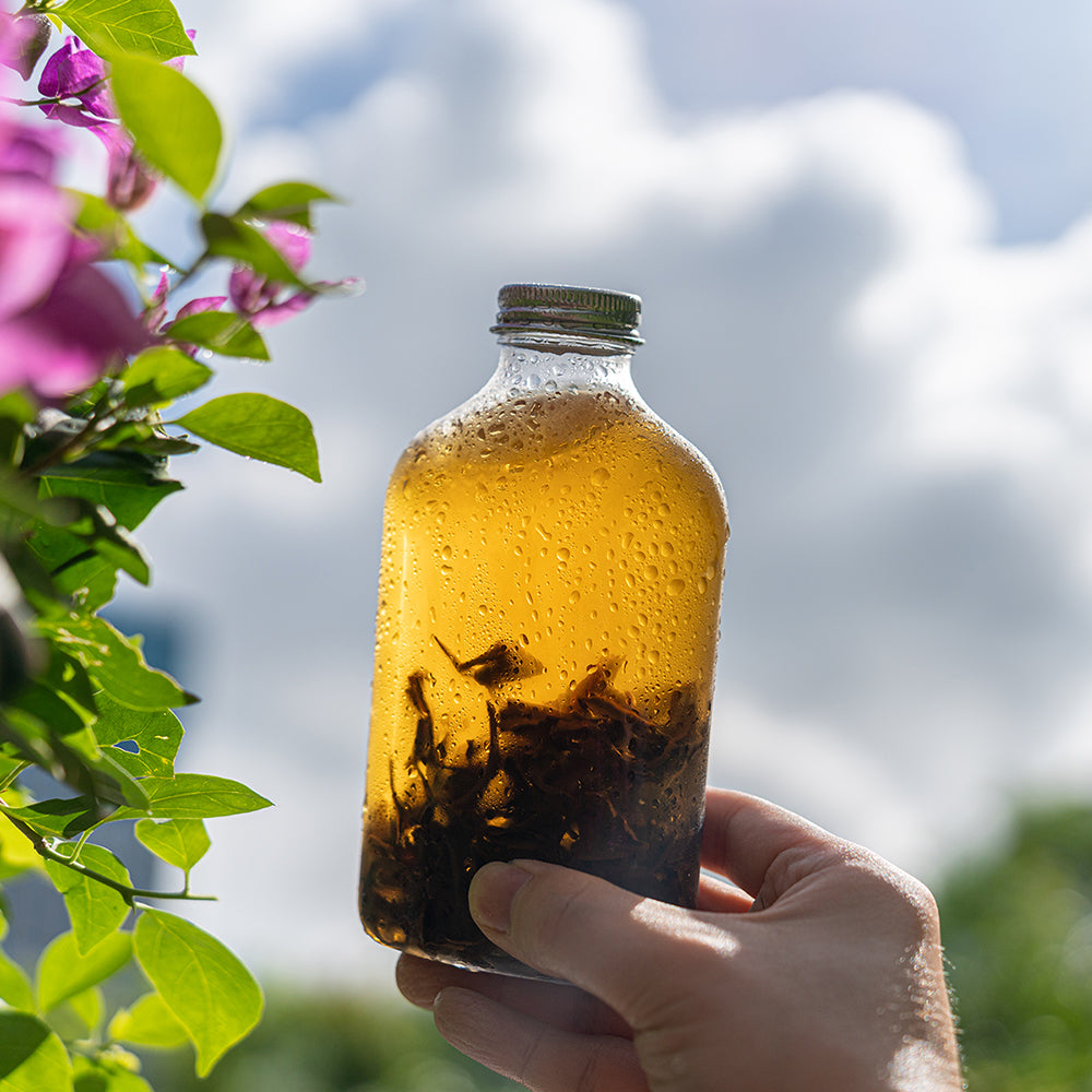 Discover the Best Cold Brew Loose Leaf Tea Starter Set Today