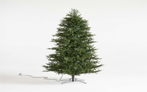 is white spruce safe to make tea with in alaska