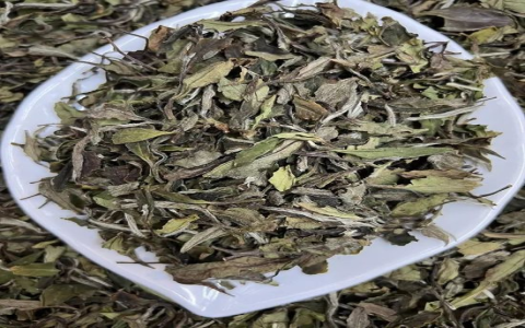 bai mudan white tea
