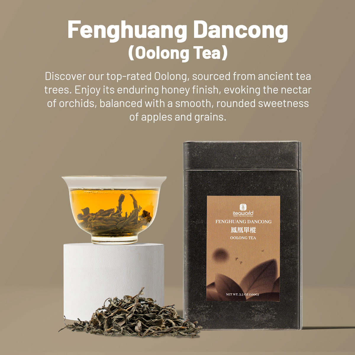 Discover the Best Cold Brew Loose Leaf Tea Starter Set Today