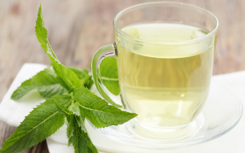 mint in green tea