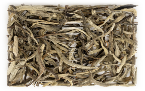 white tea and jasmine