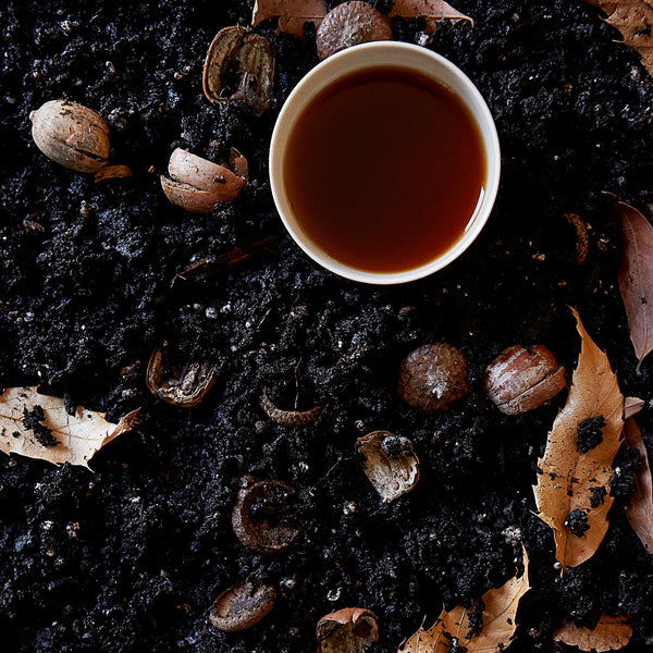 Pu Erh Tea and Black Tea: Unique Characteristics and Health Benefits