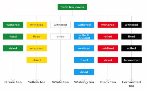 top rated white tea