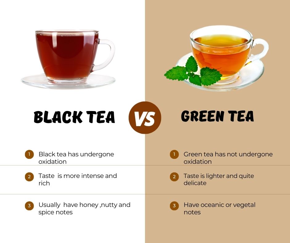 Green Tea vs. Black Tea: Understanding the Health and Flavor Differences