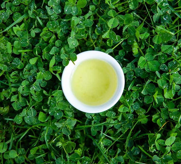 organic japanese green tea