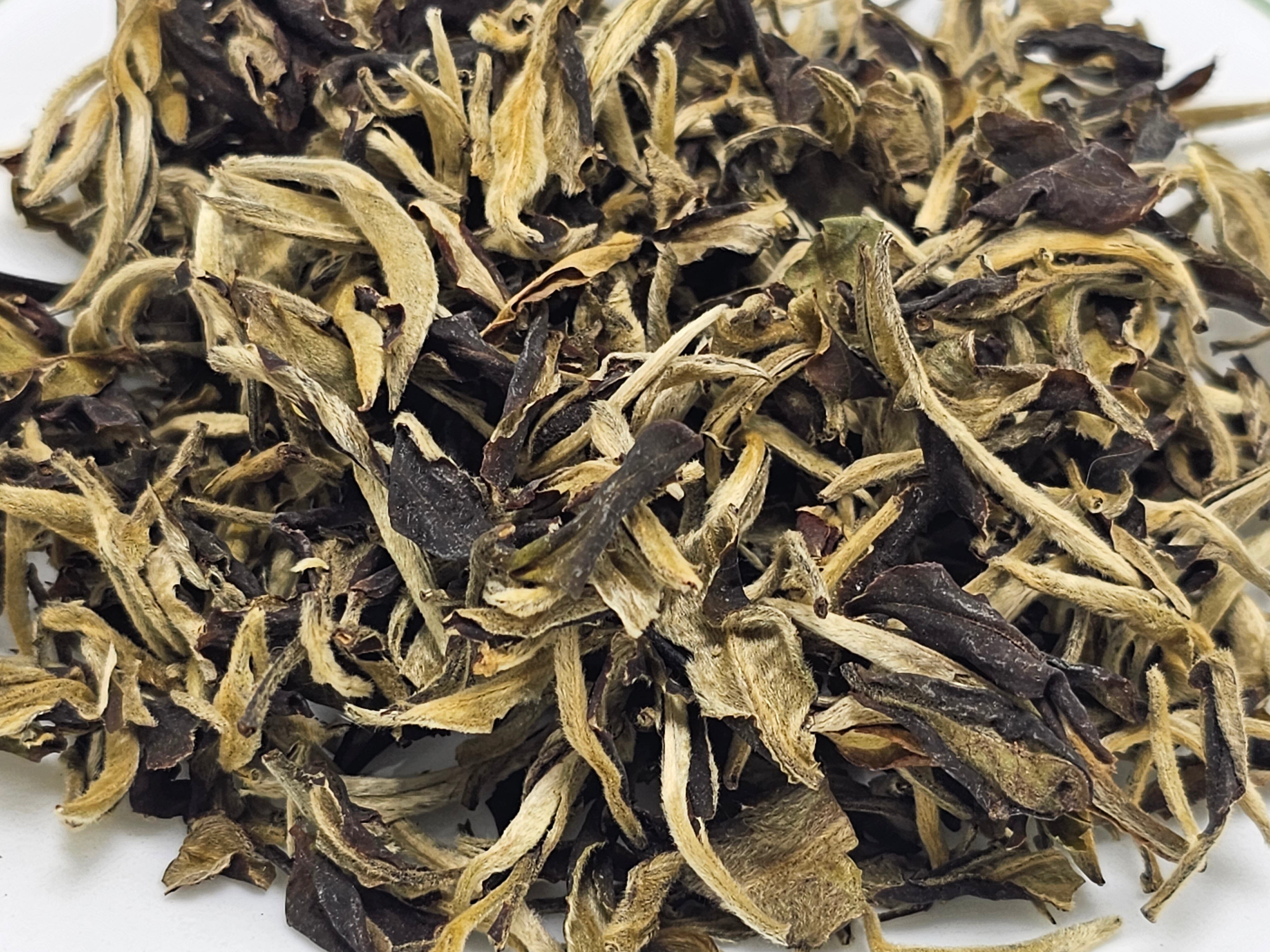 moonlight white tea