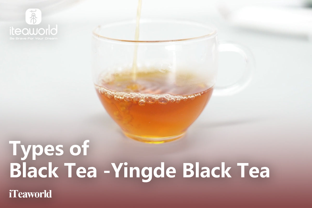 Exploring the Different Types of Black Tea: A Comprehensive Guide