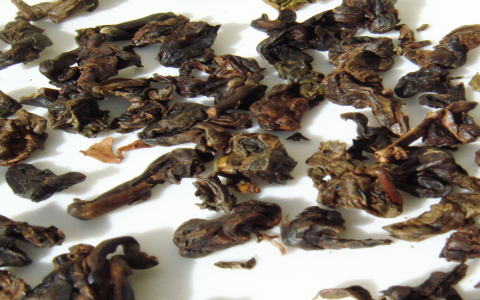 oolong tea and gaba