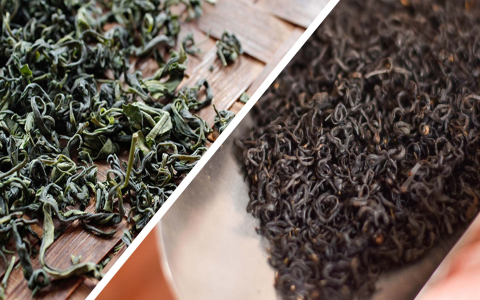Is Lipton Tea Black Tea? Exploring Types and Benefits