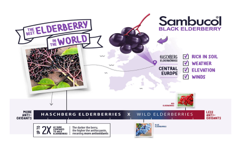 Top Health Benefits of Black Currant Tea: Boost Immunity & Improve Memory