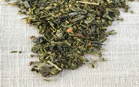 green tea with mint leaves