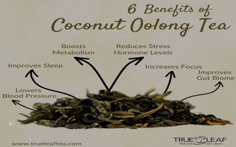 coconut oolong tea