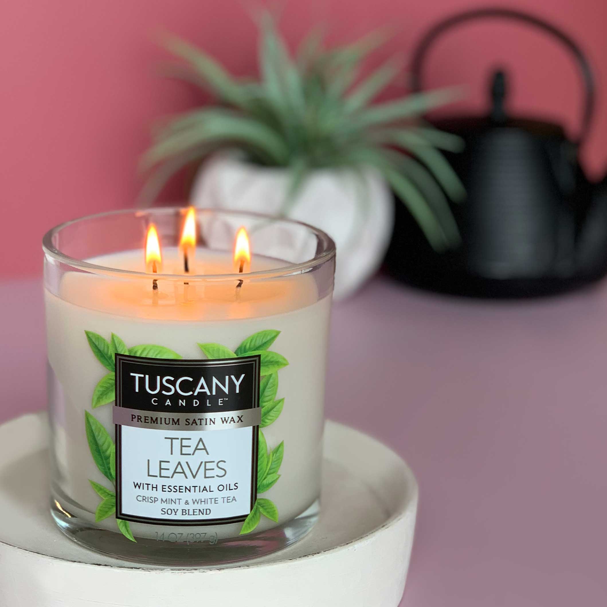 white tuscany soy candle tea