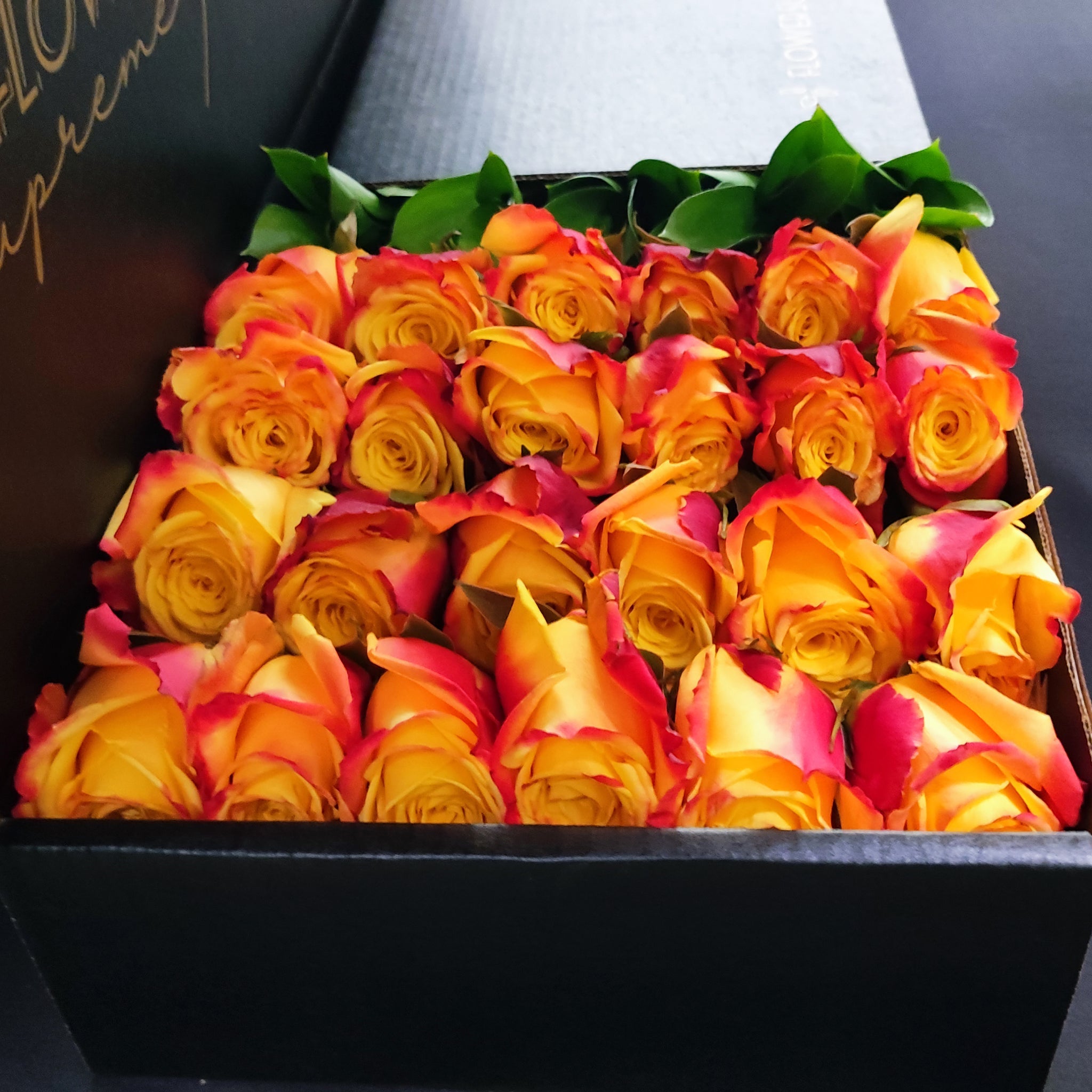 yellow hybrid tea