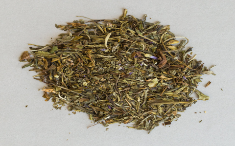 pomegranate white tea