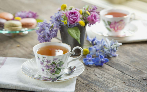 best tasting hot tea
