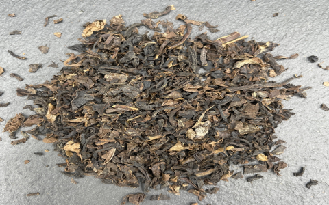 decaffeinated oolong tea