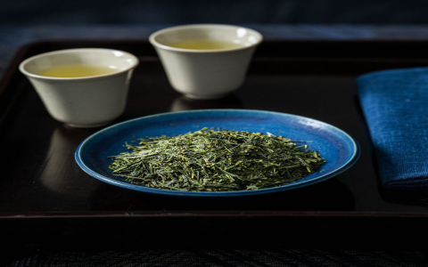 sencha tea green tea