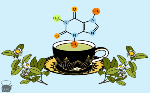 caffeine oolong vs green tea