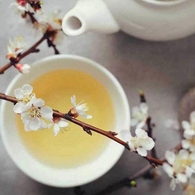 white tea and