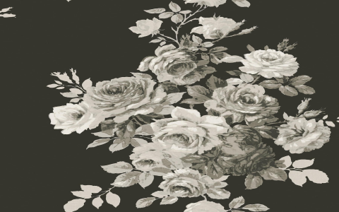 white tea rose