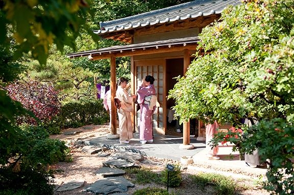 Join the Denver Botanic Gardens Japanese Tea Ceremony for a Unique Cultural Experience