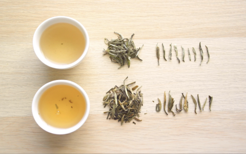 does white tea have caffeine in it