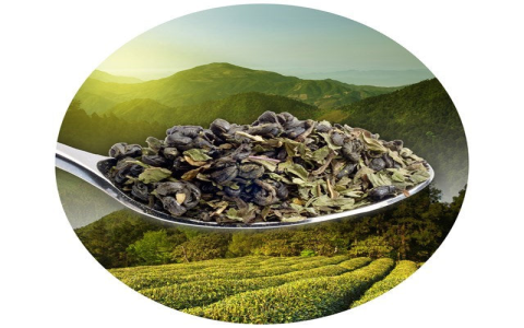 green tea gunpowder