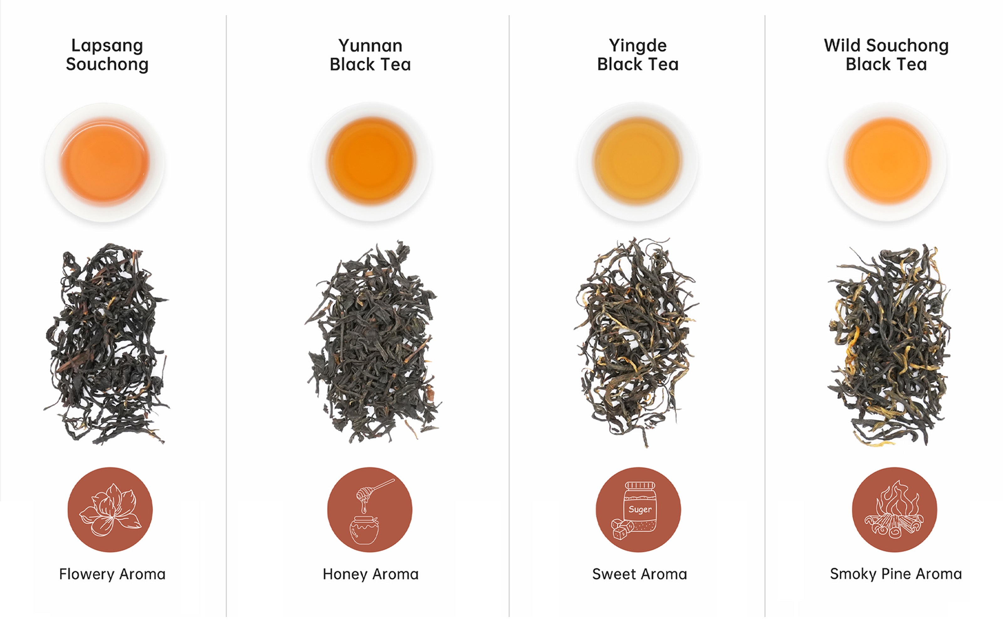 Exploring the Different Types of Black Tea and Their Unique Flavors