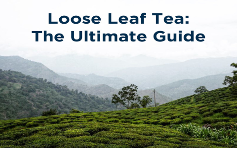 The Ultimate Guide to Black Tea Leaves: Types, Benefits & Brewing Tips