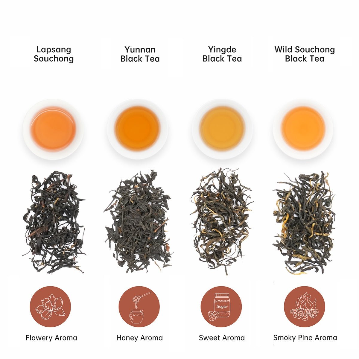 Types of Black Tea: Discover the Best Varieties and Their Unique Flavors