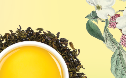 oolong tea or green tea