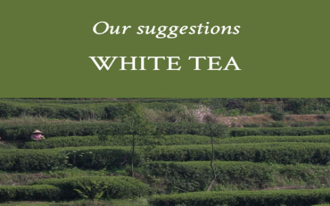 white vs green tea