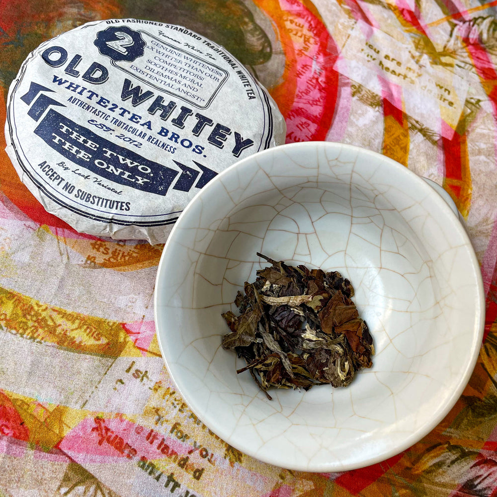aged white tea