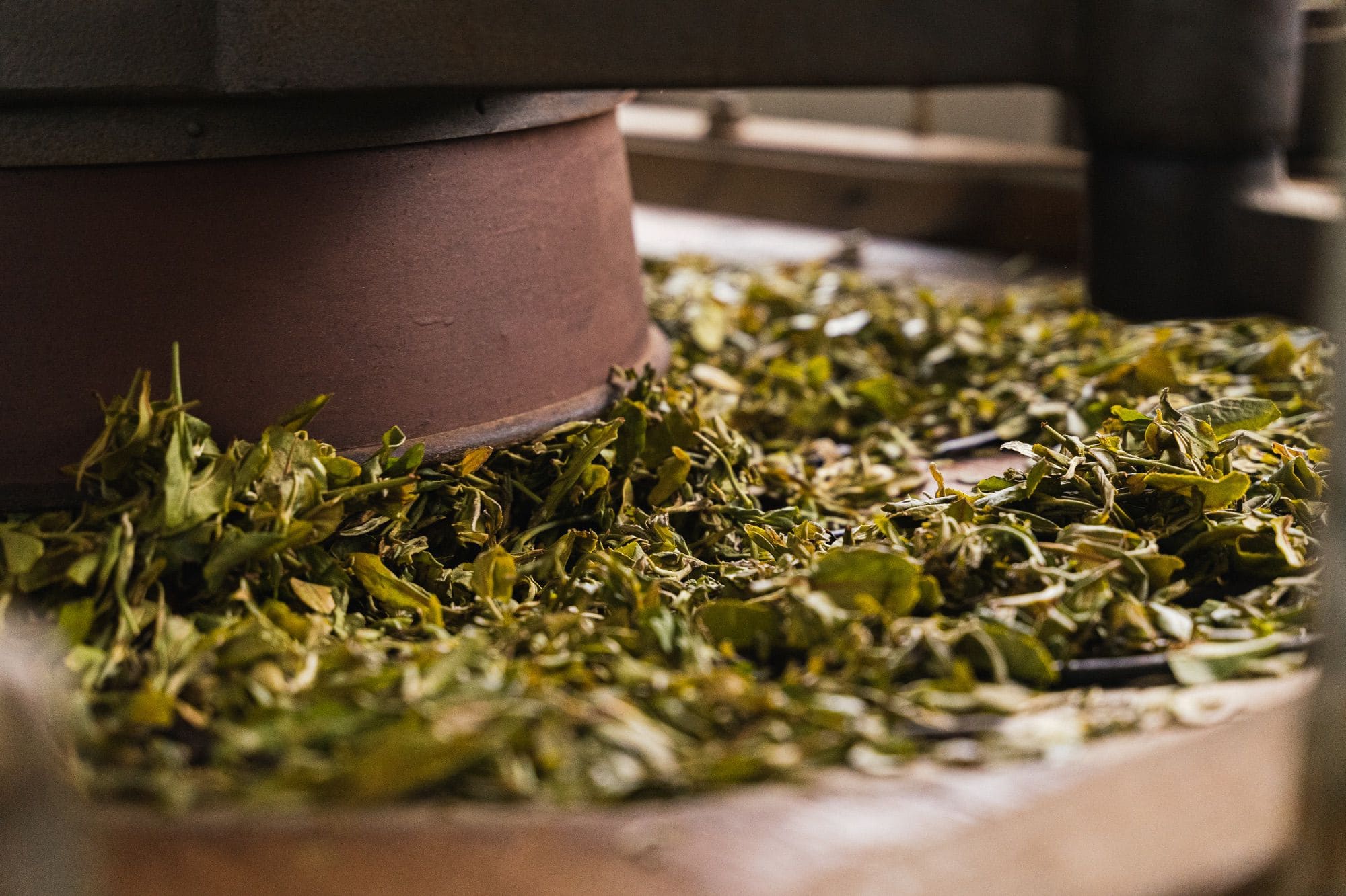 oxidised tea