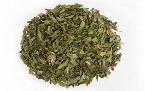 white sage tea