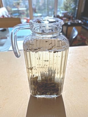 cold brew oolong tea