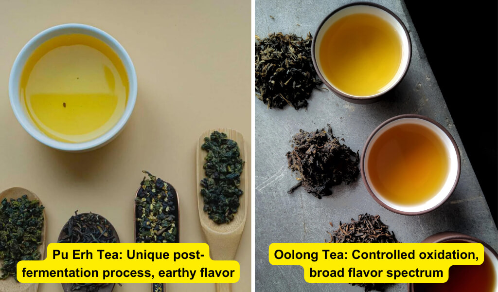 oolong vs pu erh tea