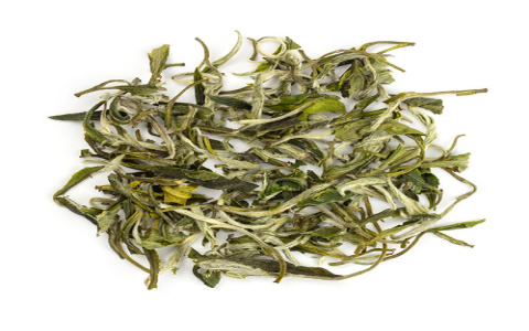 top rated white tea