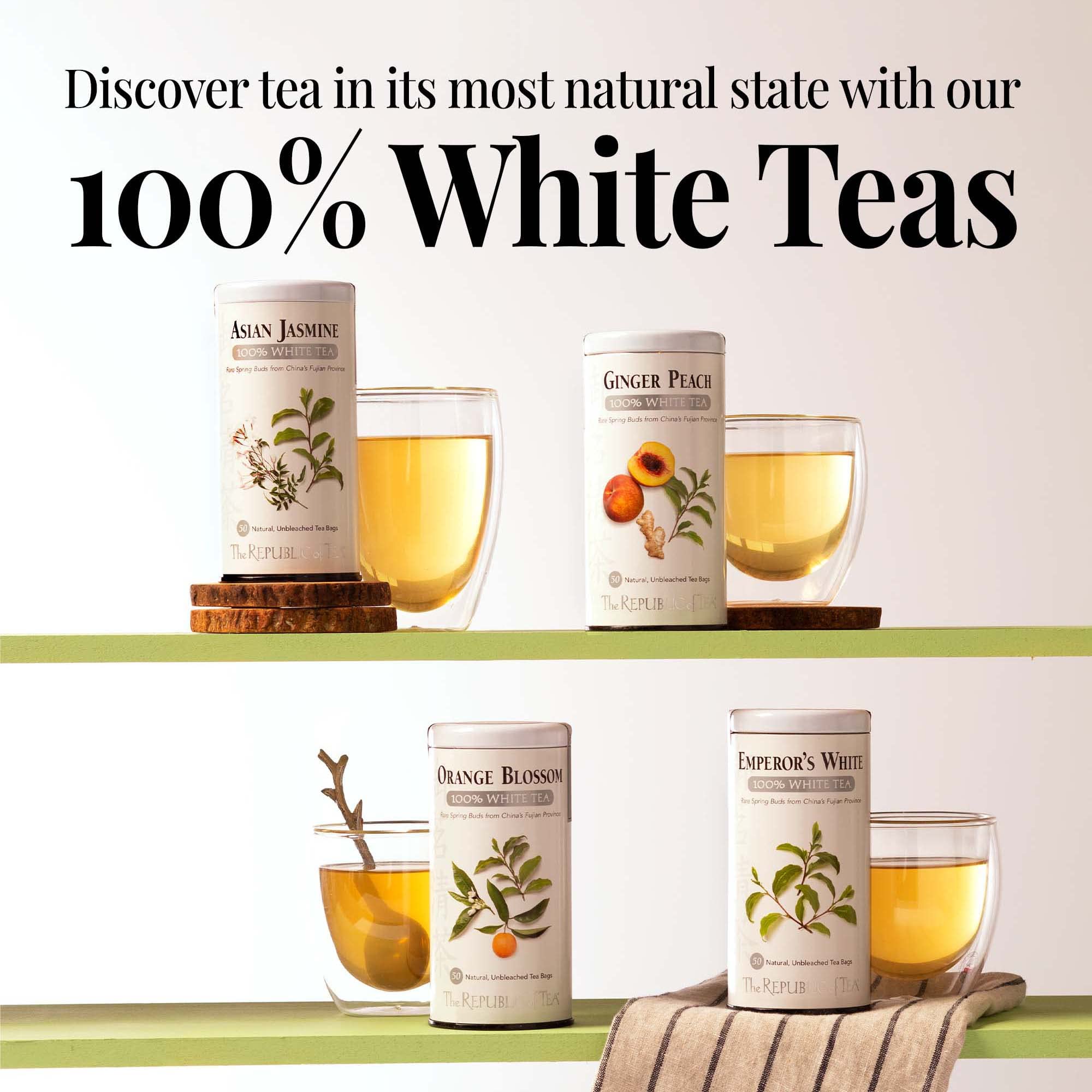 where can i buy white tea